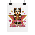 ZoZo’s World “Born to Be a Star” Poster